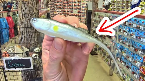 THIS TACKLE SHOP has EVERYTHING!!!  BAIT SHOP Walk Thru