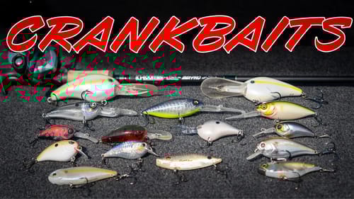 BUYER'S GUIDE: Crankbait Fishing (Shallow, Deep, Lipless, Rods, Reels)
