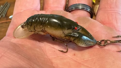 Lures That Catch Fishermen And Not Fish…
