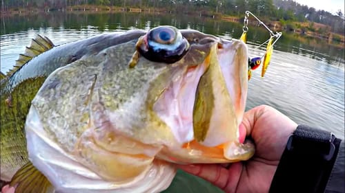 CRAZY FISH CATCH!! (BUG EYES)
