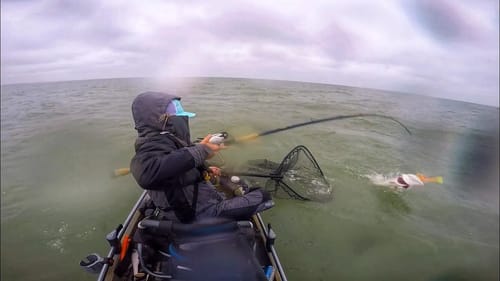 HUGE musky hits RIGHT by the KAYAK! (Non stop action!!)