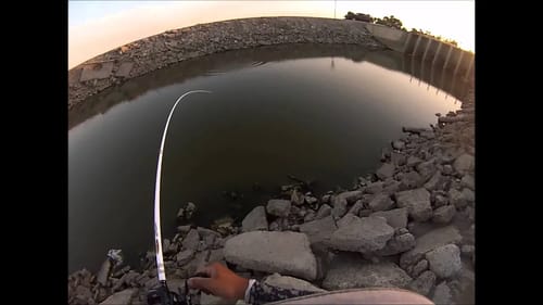Bass Fishing in a Dried up Canal