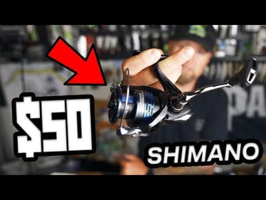 UNBOXING the $50 Shimano Nexave Spinning Reel | First Impressions & Setup