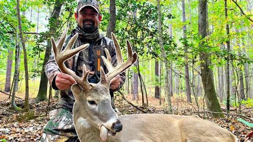 MASSIVE 14 Point Bama Buck!!