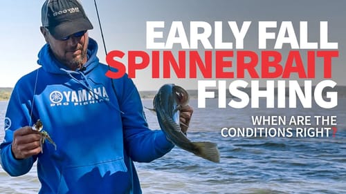 Early FALL Spinnerbait Fishing (When are the CONDITIONS RIGHT?)
