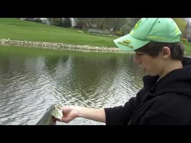 Nice Pre-Spawn Bass" ODA 5" Stik Bait