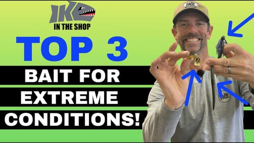 TOP 3 Baits for EXTREME Conditions! (Bass Fishing)