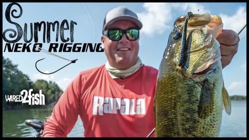5 Tips for Neko Rigging Worms for Summer Bass