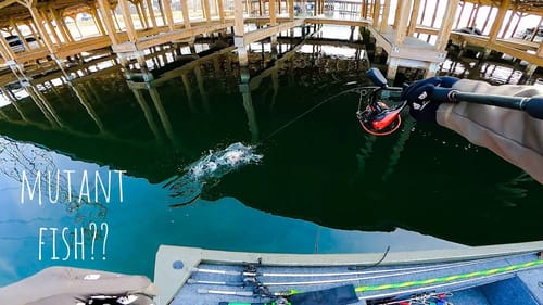 HOT WATER Discharge Lake Is LOADED With SUPER AGGRESIVE Bass!! || We CRUSHED Them!!