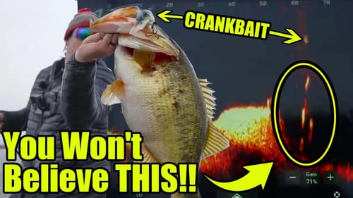 UNBELIEVABLE Double Digit Bass Eating Crankbaits on LiveScope! (No one's EVER seen this...)
