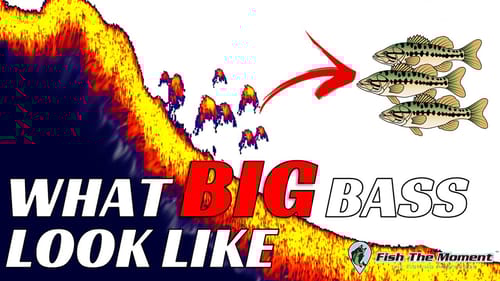 Identifying BIG Bass on Fish Finders MUST WATCH!
