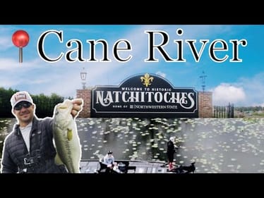 Headed Back to my Hometown (Cane River)