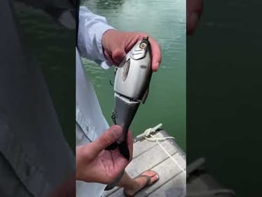 Swimbait Review- 316 Gizzard Glide