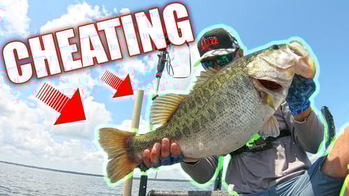 DON'T Fish Anywhere Else to Catch Your PB BASS (CHEATING!!!)