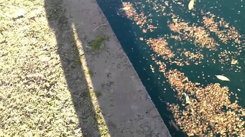 Winter Fishing At Its Best