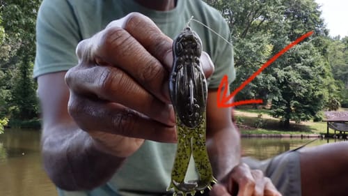 this is a floating BUZZ FROG...wow!!!