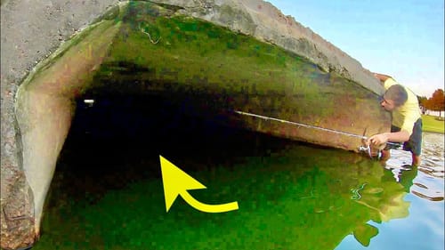 CITY SEWER FISHING for TROPHY FISH!!