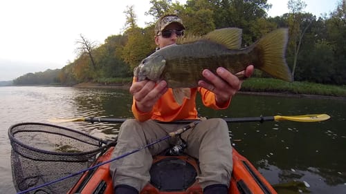 Release And Catch