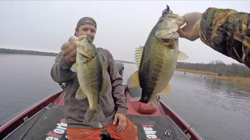Winter to Pre Spawn Bass Fishing - Tips and Techniques