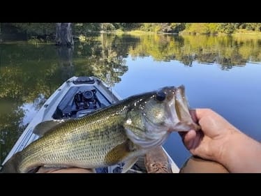 QUICK TRIP IN THE BONAFIDE PAYS OFF WITH A QUALITY BASS