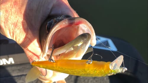 Why You Should Get Good With Techniques You Hate To Fish.