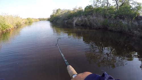 STUPIDEST Catch of All Time