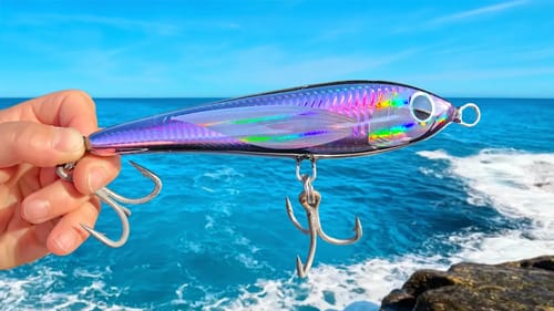 Big Fish Vs Lure!