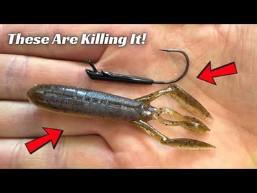 These Lures Are Killing It For Me On The Ozark Rig!