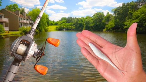 Fishing Texas Rigs for BIG Bass (We Found Them)