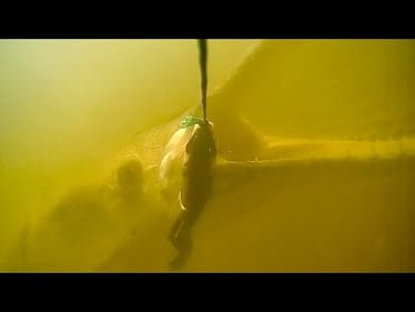 100 LB MONSTER eats SWIMBAIT on UNDERWATER CAMERA!!