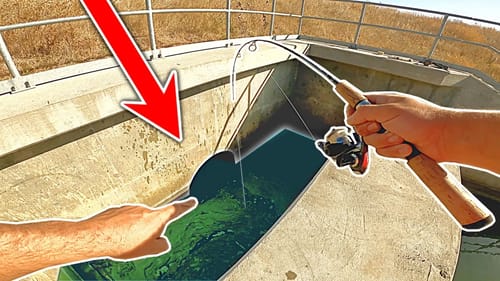 I Found HUNDREDS of Fish TRAPPED in this TINY DRAIN!!