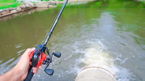 Searching for GIANT Summer BASS (Pond Fishing)
