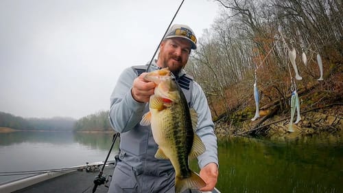 Late Winter Fishing: A-Rigs On Chickamauga