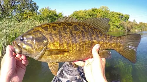 Bitsy Buggin' Some River Chunks