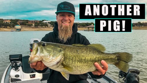 Last Minute Bait Change Gets MONSTER BITE | Crush Flat 75X is a PIGSTICKER!!!