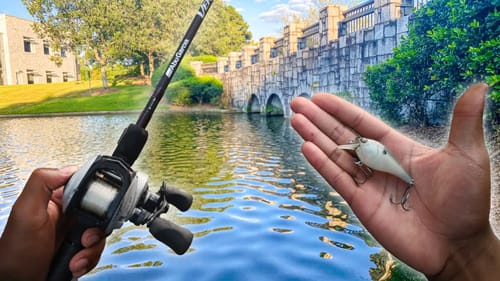RECORD Day Of Kayak Bass Fishing (They Kept Coming Back!)