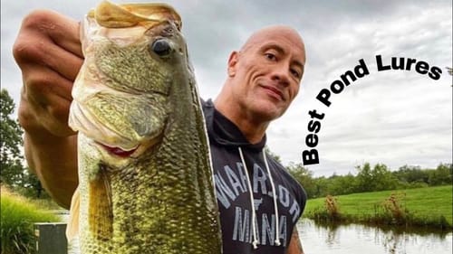Catch Big Pond Bass With These 3 Lures…