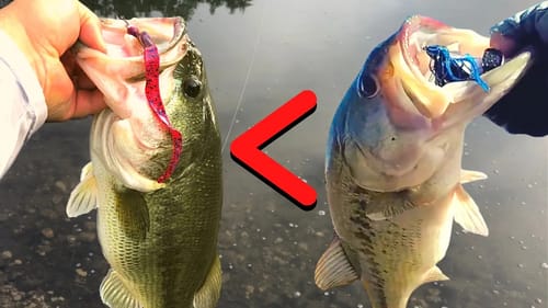 When JIGS Outperform TEXAS RIGS