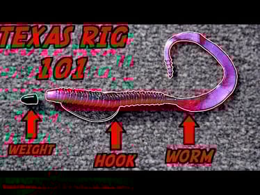 Master Your Texas Rig Fishing in 20 Minutes!