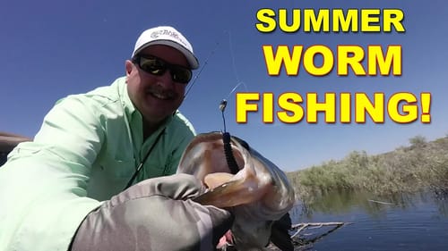 Summer Worm Fishing Tips for Bass Fishing (These Work!) | Bass Fishing