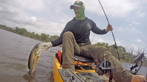 Kayak Bass Fishing with Jigs in Tree Tops #DANGLE