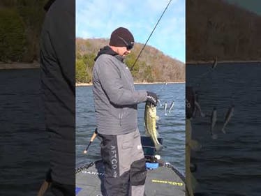 I Have Been Missing Out For 13 Years! Alabama Rig Fun This Winter!