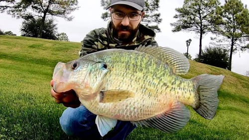 FISHING for MONSTER WINTER CRAPPIE!!