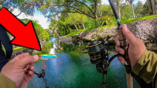 Tiny Lures Catch Tons of Fish While Crazy Canal Fishing