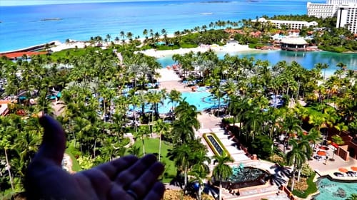Fishing in the Bahamas!! (Paradise Island)