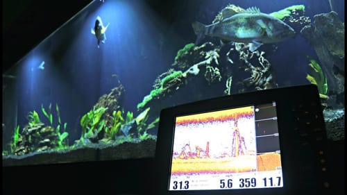 TESTING FISH FINDERS IN OUR 300 GALLON AQUARIUM!