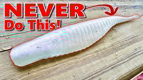 You'll Never Fish a Fluke The Same Way Again!