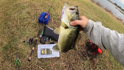 Fall Time Bassin' (Jerkbaits in the wind)