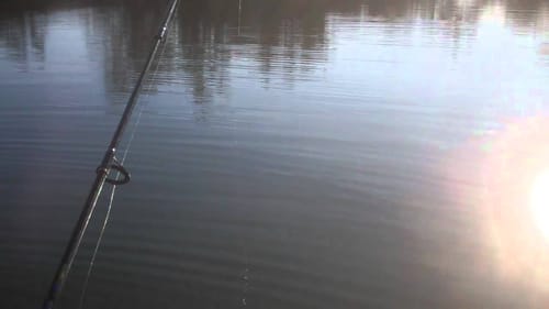 early spring bass fishing