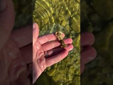 2 Crayfish and 2 Leeches!